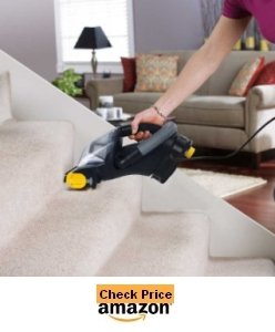 Eureka RapidClean Step Handheld Vacuum, 41A
