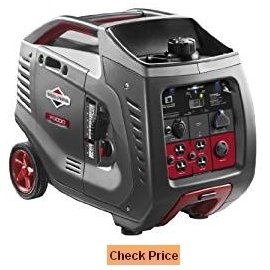 Briggs & Stratton 30545 P3000