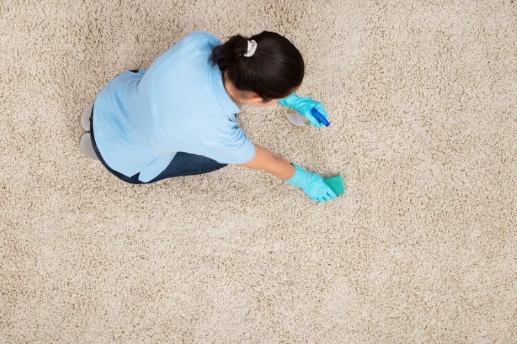Woman Cleaning Carpet With Detergent Spray